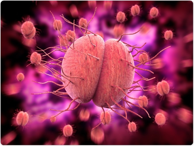 Song cầu khuẩn Neisseria Gonorrhoeae gây bệnh lậu