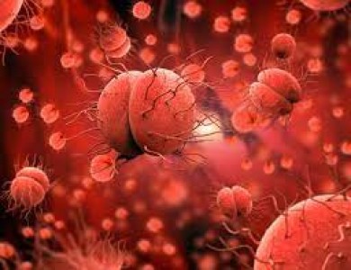 NGUYÊN NHÂN GÂY BỆNH LẬU Ở NAM GIỚI VÀ NỮ GIỚI